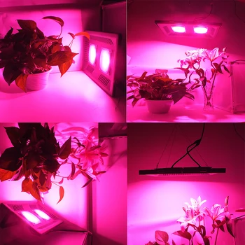 LED Grow Luči Cob Celoten Spekter Ffs Lučka AC220V Rastlina, Lahka Plošča Za Sadike Cvet Gojenje Hydroponics 50 W 100W 150W