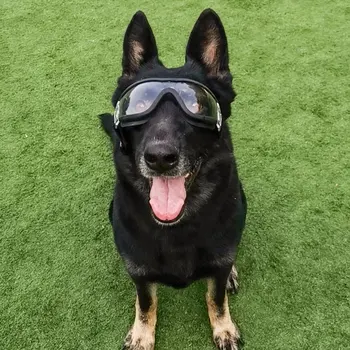 Zložljivi Ljubljenčka Psa očala srednje Velik Pes pet očala Pet očala nepremočljiva Pes Zaščito UV-zaščitna Očala, sončna Očala