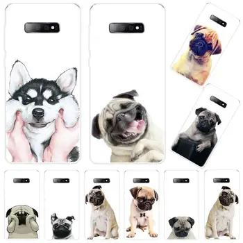 Pug smešno pes živali srčkan Primeru Telefon Za Samsung Galaxy S5 S6 S7 S8 S9 S10 S10e S20 rob, plus, lite