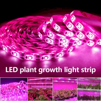 LED Grow Light Trak 5 0.5-3M Celoten Spekter USB Vmesnik Nepremočljiva Rastlina, Lahka Za Spodbujanje Rasti Za Notranjo Sajenje 136
