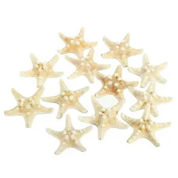 5pcs/veliko obrti belega kruha morja lupine zvezda, moda domu dekorativni obrti 13881