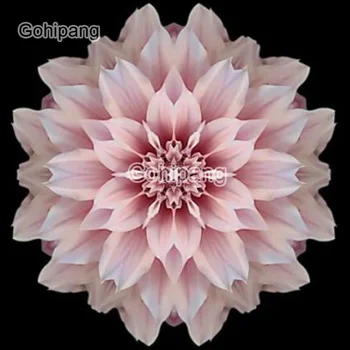 Diy Diamond Dekoracijo Svetle Rože Mandala Lily Rose Sonca Cvetja Kvadrat ali Krog Diamond Vezeni Doma Sobe Steno Decorati