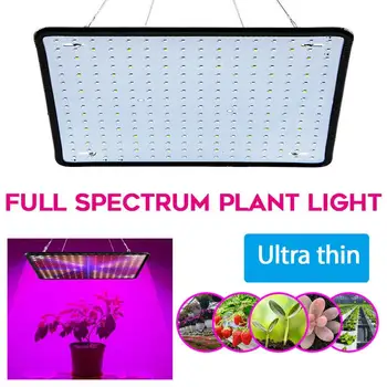 Rastejo Svetlo Rdeča in Modra Spektra LED Rastlin Svetlobe v Rastlinjakih Hydroponic Rastlin, ki rastejo Lučka Ffs Lučka NAS EU, UK in AU Plug 174003