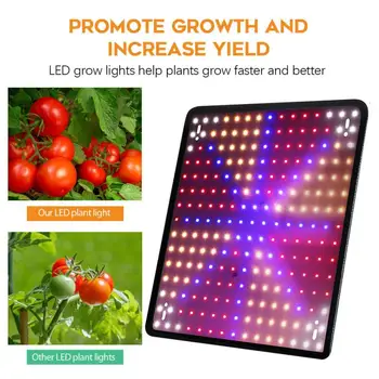 Rastejo Svetlo Rdeča in Modra Spektra LED Rastlin Svetlobe v Rastlinjakih Hydroponic Rastlin, ki rastejo Lučka Ffs Lučka NAS EU, UK in AU Plug