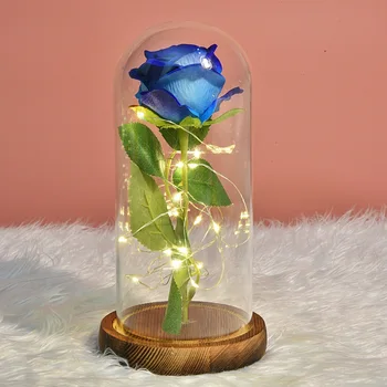 Umetno Cvetje Vedno Rose LED Luči Lepoto Zver V steklen Pokrov Doma Dekor materinski Dan, Darila, valentinovo, Darila