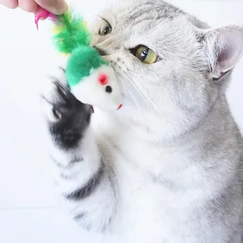 Moda Hišnih Mačk Igrače Mini Smešno Igra Igrače Za Mačke s Pisanimi Pero