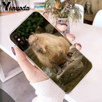 Yinuoda Živali Smešno Capybara Bling Srčkan Primeru Telefon za iPhone 12 8 7 6 6S Plus X XS MAX 5 5S SE XR 11 12 pro promax 2409