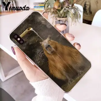 Yinuoda Živali Smešno Capybara Bling Srčkan Primeru Telefon za iPhone 12 8 7 6 6S Plus X XS MAX 5 5S SE XR 11 12 pro promax