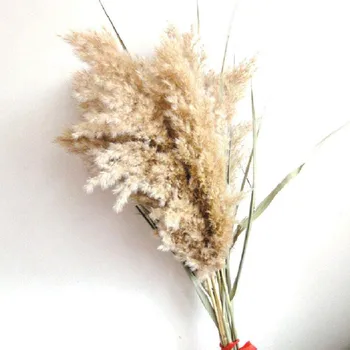 50PC ki je Na Zalogi, Posušeno Cvetje Rjava Šopek Boho Dekoracijo Dekor Poroko Cvet Kup Naravne Rastline za Dom Sobi Okraski