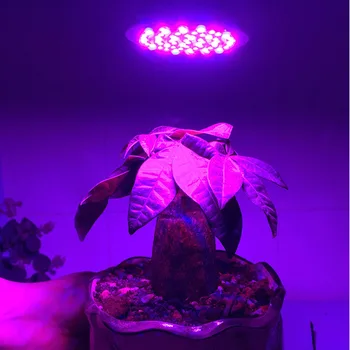 Celoten Spekter 18 LED 28 E27 LED Rastejo Žarnice Rdeče Modra UV, IR Led Raste Lučka za Hydroponics Cvetje, Rastline, Zelenjava AC