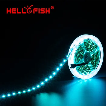 Pozdravljeni, Ribe, 5M 5050 300 SMD RGB Prilagodljivo LED Trakovi Luči in 44 Tipke IR Daljinski upravljalnik +12V 5A 60 W Napajalnik za Vgradnjo v vozilo