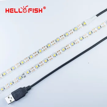 3528 LED trak 5V USB Kabel fleksibilni 60 led trak, bela, toplo bela, ki je Primerna za osvetljen TV prostem kampiranje