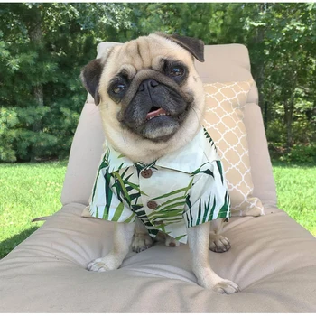 SUPREPET Hawaiian Majica francoski Buldog Pes Hoodie Pet Oblačila, Bombaž Moda Obleko za Pse, Mačke Kuža Majhne Počitnice ob Morju