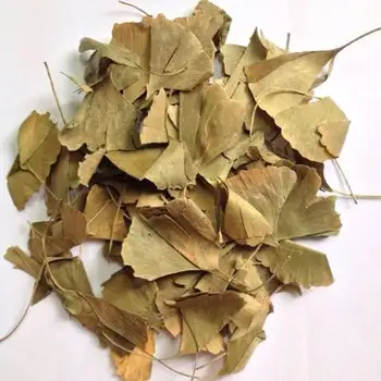 Visoka kakovost pure– Ginkgo biloba - Ginkgo Čaj Naravno sušene čaj, zeliščni 50 gr-400 gr Brezplačna Dostava
