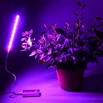 USB LED Rast Rastlin, Lučka 5V 2.5 W Celoten Spekter Luči Srebrno Telo Za Hydroponics Sistem Toplogrednih Zelena Rastlina, CE Raste