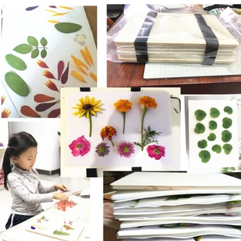 Strokovno Cvet Pritisnite Komplet 6 x 6 palcev 6 Plasti Majhnimi Listi Rastlin Pritisnite Set za DIY Umetnost Narave Pritisnite Komplet za domače obrti