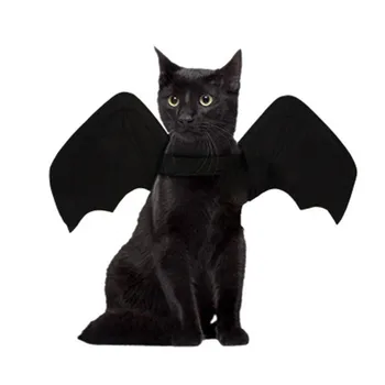 2020New žival pes mačka bat wings Cosplay kostumi za noč Čarovnic bat kostum kostume krila mačka kostum foto rekviziti pokrivala