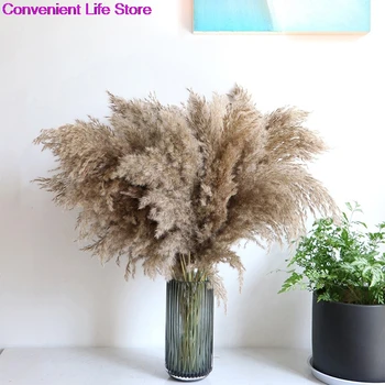 5pcs/15pcs 80 cm Naravnega Reed Cvet Big Pampe Travo Poročno Dekoracijo Umetnih & Posušeno Cvetje