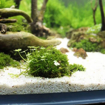Plastični Akvarij Dekoracijo Žive Rastline Fish Tank Medijev Moss Žogo Filter Za Vodni Ljubljenčki Mineralnih Kroglice Akvarij Dodatki
