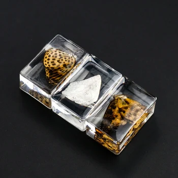 1PC Naravnih Metulj Amber Smolo Obrti Izvirnost Žuželke Kamen Ornament obtežilnik za papir Dom Dekoracija dodatna Oprema Darilo